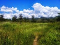 Wamena Landscape view, Papua Indonesia