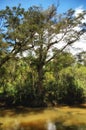 Wamena River in Baliem Valley, Baliem Valley, West Papua, Indonesia