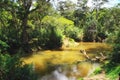 Wamena River in Baliem Valley, Baliem Valley, West Papua, Indonesia