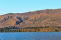 Wanaka lake in New Zealand