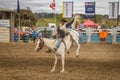 WANAKA , NEW ZEALAND - 2017, JANUARY 2: Cowboy participates in i Royalty Free Stock Photo