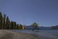 That Wanaka Tree and Lake Wanaka shoreline, Roys Bay, Wanaka, New Zealand Royalty Free Stock Photo