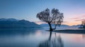 Lake Wanaka, New Zealand at sunrise with tree in foreground.