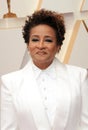 Wanda Sykes Royalty Free Stock Photo