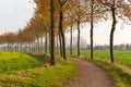 Wandelweg met bomenrij in de herfst Royalty Free Stock Photo