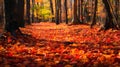 A Pathway of Red Leaves Through the Enchanting Forest