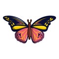 Wandered butterfly icon, cartoon style