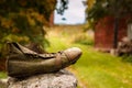 Wanderer shoe in countryside