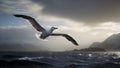 A wandering albatross soaring near Island
