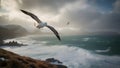 A wandering albatross soaring near Island