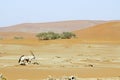 Wandering dune of Sossuvlei in Namibia