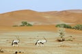 Wandering dune of Sossuvlei in Namibia