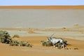 Wandering dune of Sossuvlei in Namibia