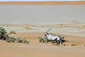 Wandering dune of Sossuvlei in Namibia