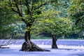 Wang Takrai waterfall located in Nakhon Nayok Thailand. Shot taken with long exposure therefore smooth and fluffy water surface Royalty Free Stock Photo