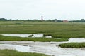 WANGEROOGE, GERMANY. 04th July 2017: view of the dunes of the