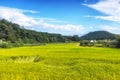 Wanggok village rice paddies