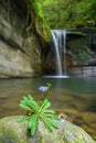 Wanggu Waterfall is a good place to escape the heat in summer. Royalty Free Stock Photo