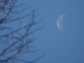 Waning Crescent Moon