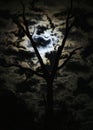 Waning Gibbous Moon Light Royalty Free Stock Photo