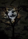 Waning Gibbous Moon Royalty Free Stock Photo