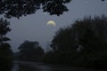 Waning moon over forest in early morning Royalty Free Stock Photo