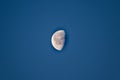 Waning moon in broad daylight with blue sky, in the morning at the beginning of the year Royalty Free Stock Photo