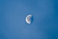 Waning moon in broad daylight with blue sky, in the morning at the beginning of the year