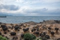 Wanli District, New Taipei City, Taiwan Yehliu Geopark mushroom-shaped rock strange rocky landscape Royalty Free Stock Photo