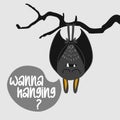 Wanna hanging? Cute bat. Halloween overlays, lettering labels design