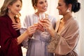 We wanna make a toast to the bride... a beautiful young bride and her bridesmaids making a toast with wineglasses in Royalty Free Stock Photo