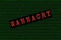 The wannacry and binary code. the wannacry and ransomware concept Security.