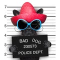 Wanted dog Royalty Free Stock Photo