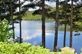 Wapizagonke lake on a sunny day. Fresk water lake behind tree line.