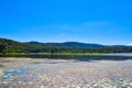 Wappa Dam In Sunshine Coast