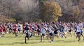 High school boys running in a cross country race on a grass field Royalty Free Stock Photo