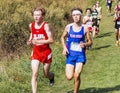 Boys running 5K cross country race on a grass downhill at Bowdoin PArk Royalty Free Stock Photo