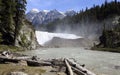 Wapta Falls, Yoho National Park, Rocky Mountains, British Columbia, Canada Royalty Free Stock Photo