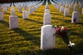 War cemetery with rows of white marble graves on green grass at sunset with ocean view. Marine veteran's cemetery Royalty Free Stock Photo