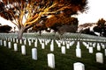 War cemetery with rows of white marble graves on green grass at sunset with ocean view. Marine veteran's cemetery