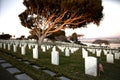 War cemetery with rows of white marble graves on green grass at sunset with ocean view. Marine veteran's cemetery Royalty Free Stock Photo