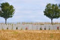 War Cemetery - The Somme - France Royalty Free Stock Photo