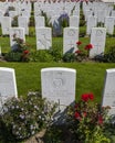 War Graves at Tyne Cot Cemetery Royalty Free Stock Photo