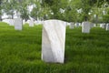 War Memorial Cemetery with Blank Tombstone Grave Marker Royalty Free Stock Photo