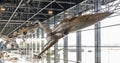 In this war museum in Soesterberg, four fighter jets hang in a row one after the other
