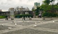 War and Peace Macao Spotted Dove Pigeons Birds Pigeon White Doves Macau Monte Fortress Garden Bird Nature Freedom Cannon Weapon