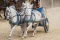 War, Roman chariot in a fight of gladiators, bloody circus