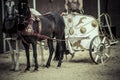 War, Roman chariot in a fight of gladiators, bloody circus Royalty Free Stock Photo