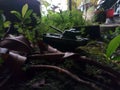 War Tank miniatures Royalty Free Stock Photo