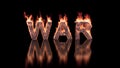 War text burning in fire on glossy surface Royalty Free Stock Photo